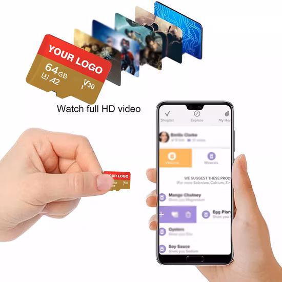 Scheda di memoria SD ad alta velocità 4 GB 8 GB 16 GB TF Card 2 GB 32 GB 64 GB 128 GB 256 GB prezzo di fabbrica all'ingrosso